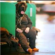 Clases de música guitarra acústica, piano, trompeta